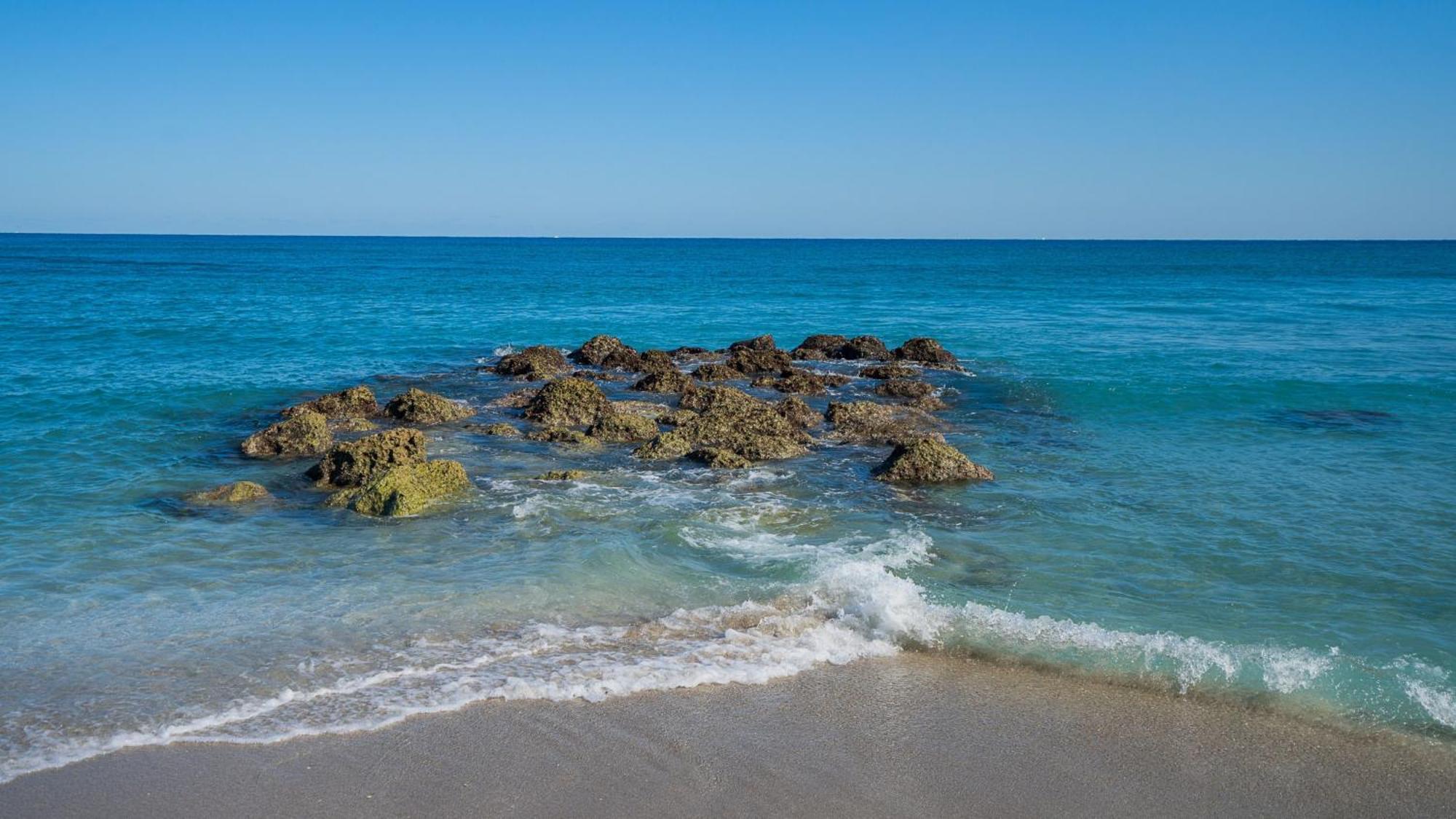 Holiday Inn & Suites Boca Raton - North Eksteriør billede